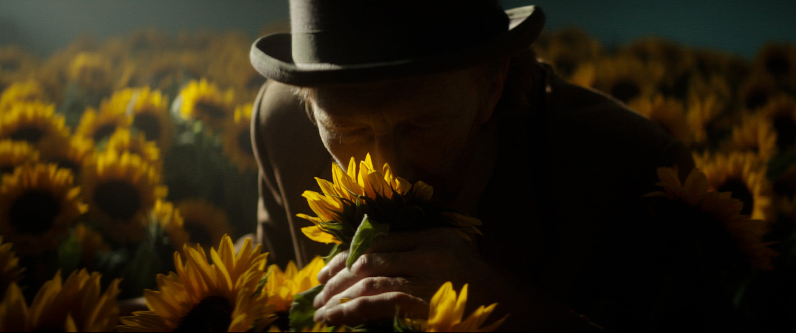 Vincent van Gogh_sunflowers
